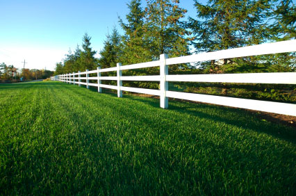 horse-fence.jpg